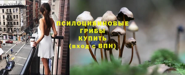 ПСИЛОЦИБИНОВЫЕ ГРИБЫ Баксан